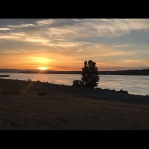 Meet your Posher, Edith